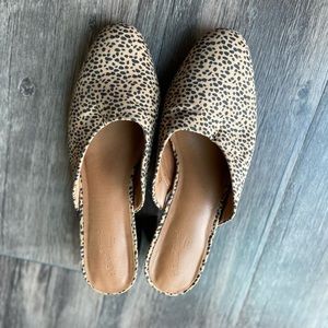 Universal Thread leopard mules 6.5